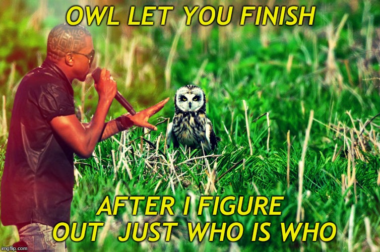 Kanye takes a hike... | OWL LET YOU FINISH; AFTER I FIGURE OUT  JUST WHO IS WHO | image tagged in interupting kanye,owl,who would win | made w/ Imgflip meme maker