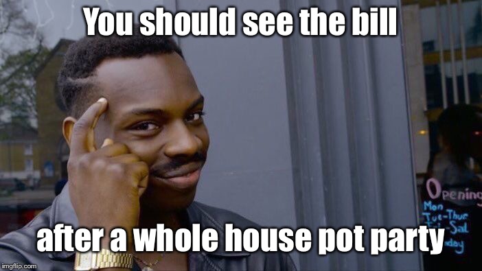 Roll Safe Think About It Meme | You should see the bill after a whole house pot party | image tagged in memes,roll safe think about it | made w/ Imgflip meme maker