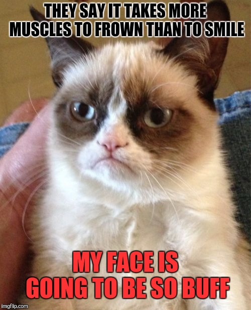Grumpy Cat Meme | THEY SAY IT TAKES MORE MUSCLES TO FROWN THAN TO SMILE; MY FACE IS GOING TO BE SO BUFF | image tagged in memes,grumpy cat | made w/ Imgflip meme maker