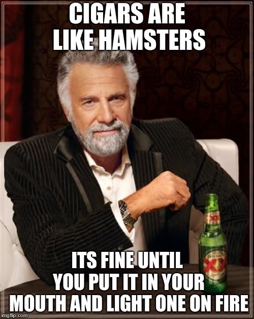 Don't do drugs..... or hamsters | CIGARS ARE LIKE HAMSTERS; ITS FINE UNTIL YOU PUT IT IN YOUR MOUTH AND LIGHT ONE ON FIRE | image tagged in memes,the most interesting man in the world | made w/ Imgflip meme maker