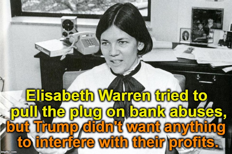 Elisabeth Warren tried to pull the plug on bank abuses, but Trump didn't want anything to interfere with their profits. | made w/ Imgflip meme maker