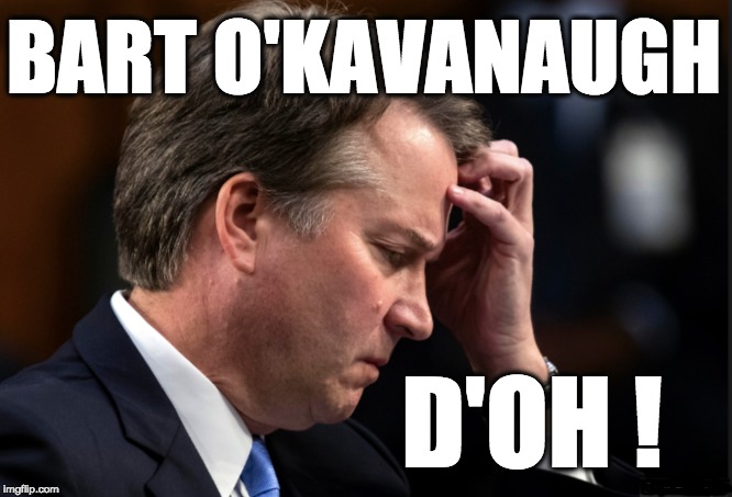 BART O'KAVANAUGH; D'OH ! | image tagged in memes | made w/ Imgflip meme maker