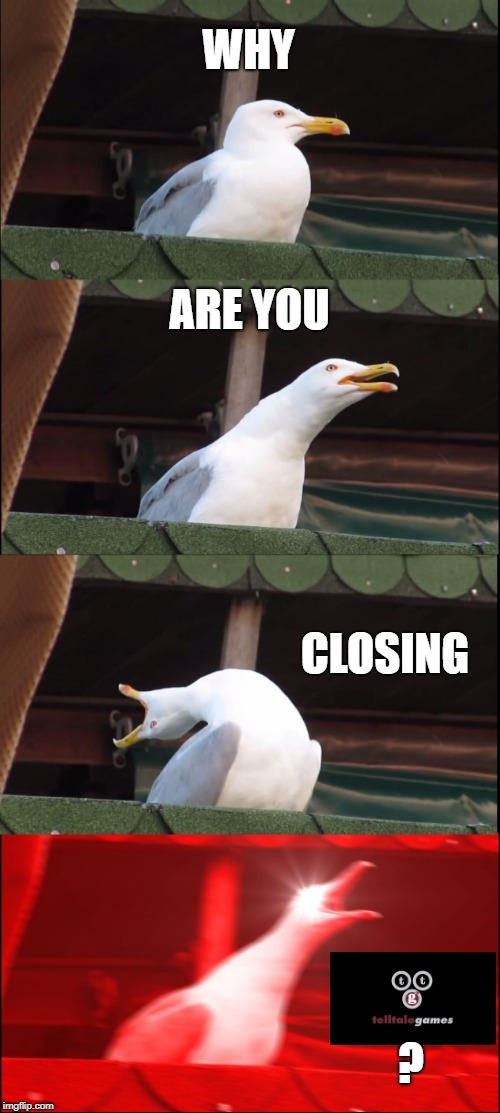 Inhaling Seagull Meme | WHY; ARE YOU; CLOSING; ? | image tagged in memes,inhaling seagull | made w/ Imgflip meme maker