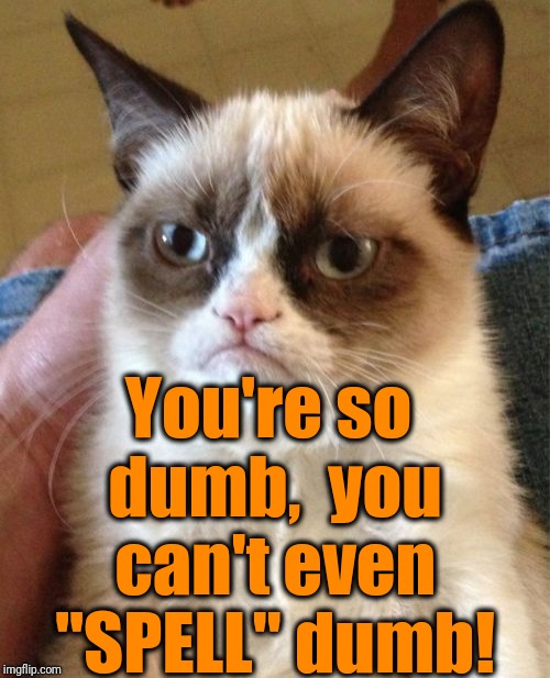Grumpy Cat Meme | You're so dumb,  you can't even "SPELL" dumb! | image tagged in memes,grumpy cat | made w/ Imgflip meme maker