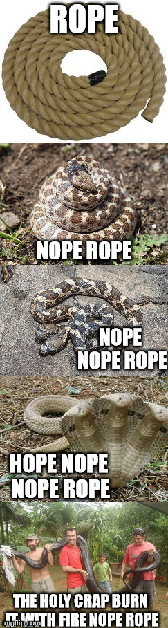 Rope | ROPE; NOPE ROPE; NOPE NOPE ROPE; HOPE NOPE NOPE ROPE; THE HOLY CRAP BURN IT WITH FIRE NOPE ROPE | image tagged in snake,nope rope | made w/ Imgflip meme maker