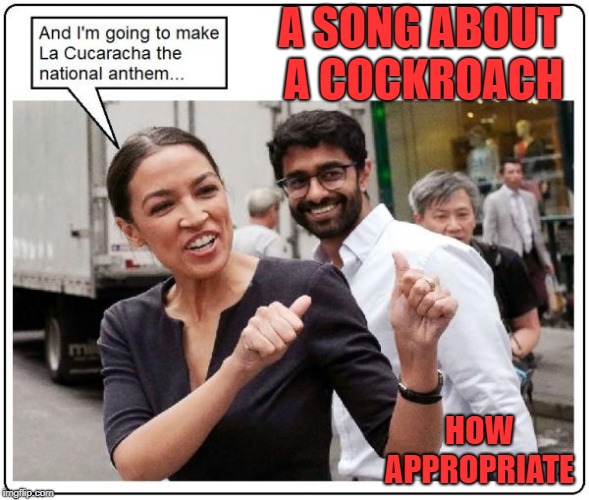 Alexandria Ocasio-Cortez | A SONG ABOUT A COCKROACH; HOW APPROPRIATE | image tagged in alexandria ocasio-cortez | made w/ Imgflip meme maker