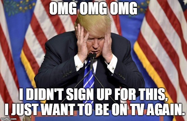 Trump Freakout | OMG OMG OMG; I DIDN'T SIGN UP FOR THIS, I JUST WANT TO BE ON TV AGAIN. | image tagged in trump,confused,panic,omg | made w/ Imgflip meme maker