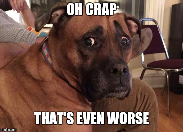 Oh crap dog | OH CRAP THAT'S EVEN WORSE | image tagged in oh crap dog | made w/ Imgflip meme maker