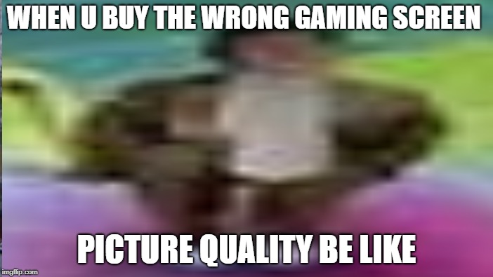 ud med knud | WHEN U BUY THE WRONG GAMING SCREEN; PICTURE QUALITY BE LIKE | image tagged in gaming,quality,knud,ur mom gay | made w/ Imgflip meme maker