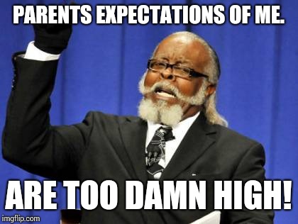 Too Damn High Meme | PARENTS EXPECTATIONS OF ME. ARE TOO DAMN HIGH! | image tagged in memes,too damn high | made w/ Imgflip meme maker
