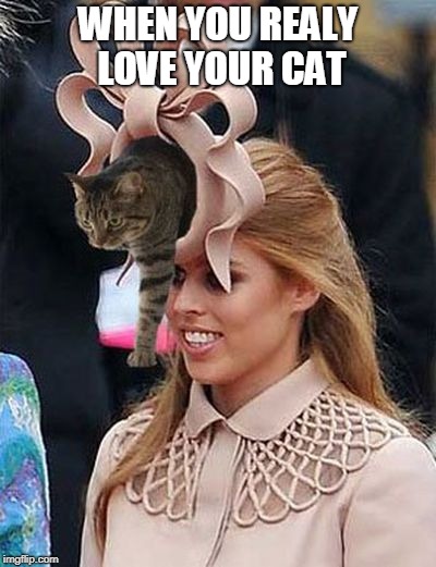 Princess Beatrice hat meme Imgflip