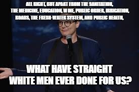 ALL RIGHT, BUT APART FROM THE SANITATION, THE MEDICINE, EDUCATION, WINE, PUBLIC ORDER, IRRIGATION, ROADS, THE FRESH-WATER SYSTEM, AND PUBLIC HEALTH, WHAT HAVE STRAIGHT WHITE MEN EVER DONE FOR US? | image tagged in hannah | made w/ Imgflip meme maker