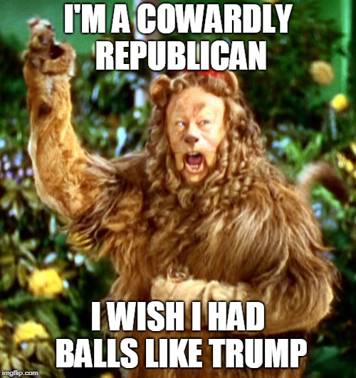 Cowardly Lion | I'M A COWARDLY REPUBLICAN; I WISH I HAD BALLS LIKE TRUMP | image tagged in cowardly lion | made w/ Imgflip meme maker