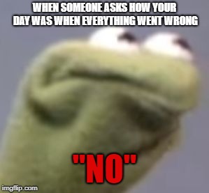 One Terrible (COOKIE MONSTER) Day | WHEN SOMEONE ASKS HOW YOUR DAY WAS WHEN EVERYTHING WENT WRONG; "NO" | image tagged in angery kermit | made w/ Imgflip meme maker