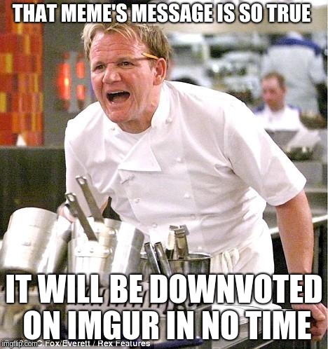 Chef Gordon Ramsay | THAT MEME'S MESSAGE IS SO TRUE; IT WILL BE DOWNVOTED ON IMGUR IN NO TIME | image tagged in memes,chef gordon ramsay | made w/ Imgflip meme maker