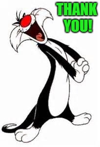 sylvester | THANK YOU! | image tagged in sylvester | made w/ Imgflip meme maker