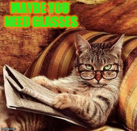 Reading Cat with Glasses | MAYBE YOU NEED GLASSES | image tagged in reading cat with glasses | made w/ Imgflip meme maker