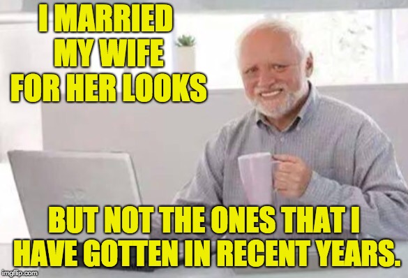Harold | I MARRIED MY WIFE FOR HER LOOKS; BUT NOT THE ONES THAT I HAVE GOTTEN IN RECENT YEARS. | image tagged in harold | made w/ Imgflip meme maker