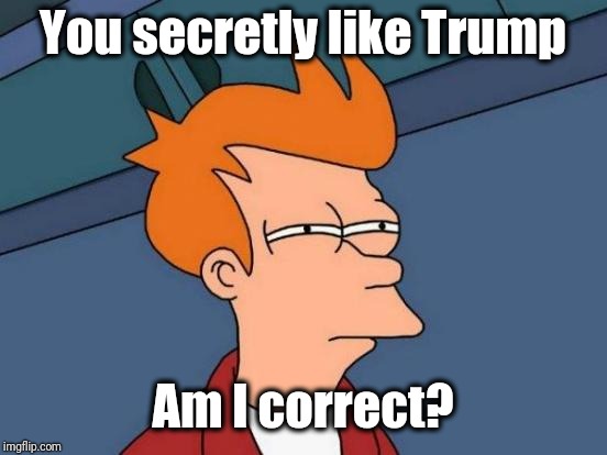 Futurama Fry Meme | You secretly like Trump Am I correct? | image tagged in memes,futurama fry | made w/ Imgflip meme maker