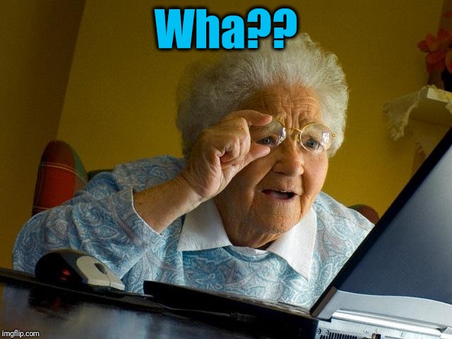 Grandma Finds The Internet Meme | Wha?? | image tagged in memes,grandma finds the internet | made w/ Imgflip meme maker