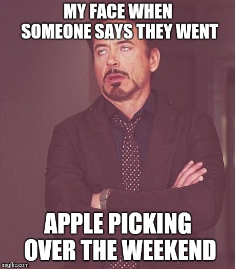 iron man eye roll | MY FACE WHEN SOMEONE SAYS THEY WENT; APPLE PICKING OVER THE WEEKEND | image tagged in iron man eye roll | made w/ Imgflip meme maker
