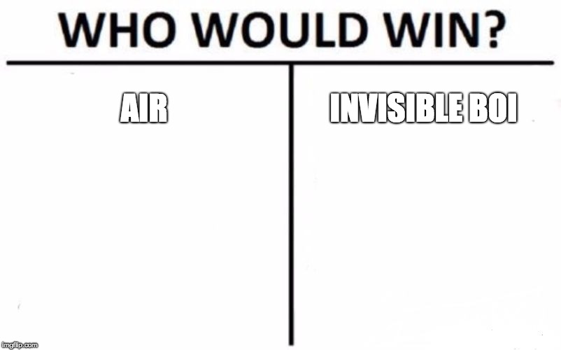 Who Would Win? Meme | AIR; INVISIBLE BOI | image tagged in memes,who would win | made w/ Imgflip meme maker