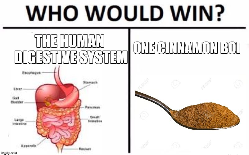 Who Would Win? Meme | THE HUMAN DIGESTIVE SYSTEM; ONE CINNAMON BOI | image tagged in memes,who would win | made w/ Imgflip meme maker