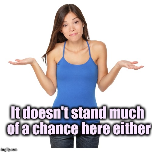 I don't know | It doesn't stand much of a chance here either | image tagged in i don't know | made w/ Imgflip meme maker