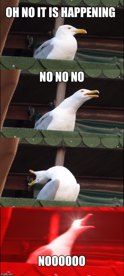 Inhaling Seagull | OH NO IT IS HAPPENING; NO NO NO; NOOOOOO | image tagged in memes,inhaling seagull | made w/ Imgflip meme maker