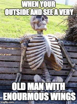 Waiting Skeleton | WHEN YOUR OUTSIDE AND SEE A VERY; OLD MAN WITH ENOURMOUS WINGS | image tagged in memes,waiting skeleton | made w/ Imgflip meme maker