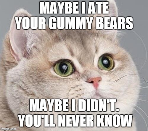 Heavy breathing cat blank | MAYBE I ATE YOUR GUMMY BEARS; MAYBE I DIDN'T. YOU'LL NEVER KNOW | image tagged in funny cat memes | made w/ Imgflip meme maker