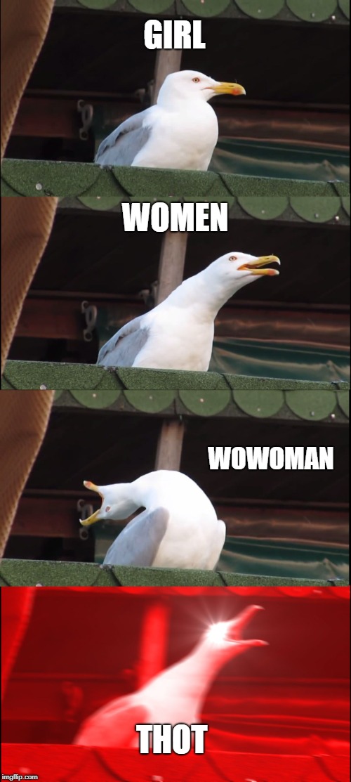 Inhaling Seagull | GIRL; WOMEN; WOWOMAN; THOT | image tagged in memes,inhaling seagull | made w/ Imgflip meme maker