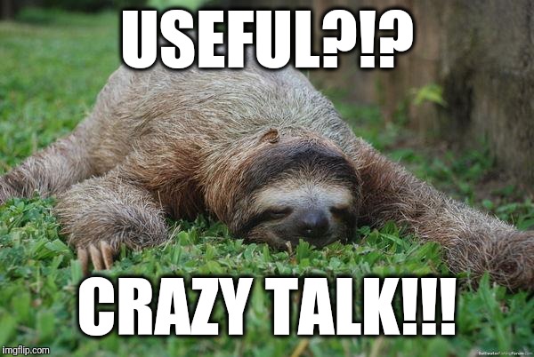 Sleeping sloth | USEFUL?!? CRAZY TALK!!! | image tagged in sleeping sloth | made w/ Imgflip meme maker