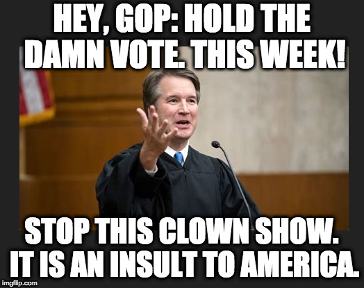 Hold the Vote | HEY, GOP: HOLD THE DAMN VOTE. THIS WEEK! STOP THIS CLOWN SHOW. IT IS AN INSULT TO AMERICA. | image tagged in brett kavanaugh | made w/ Imgflip meme maker