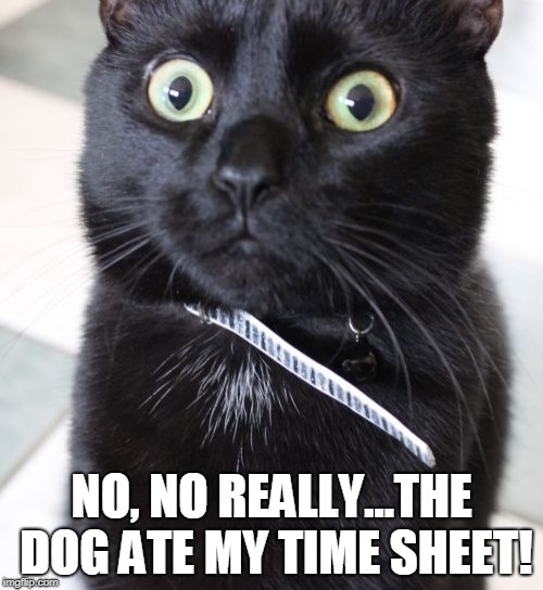 Woah Kitty | NO, NO REALLY...THE DOG ATE MY TIME SHEET! | image tagged in memes,woah kitty | made w/ Imgflip meme maker
