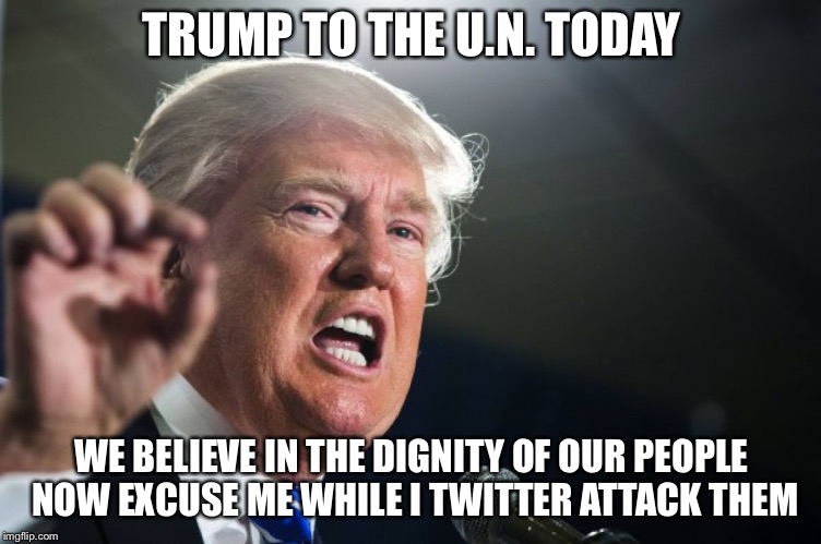 donald trump | TRUMP TO THE U.N. TODAY; WE BELIEVE IN THE DIGNITY OF OUR PEOPLE NOW EXCUSE ME WHILE I TWITTER ATTACK THEM | image tagged in donald trump | made w/ Imgflip meme maker