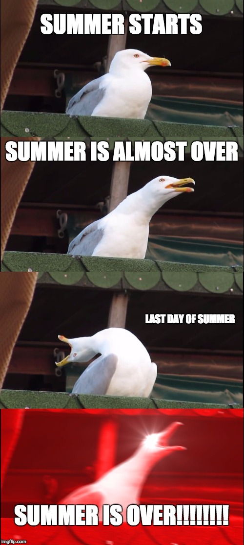 Inhaling Seagull | SUMMER STARTS; SUMMER IS ALMOST OVER; LAST DAY OF SUMMER; SUMMER IS OVER!!!!!!!! | image tagged in memes,inhaling seagull | made w/ Imgflip meme maker