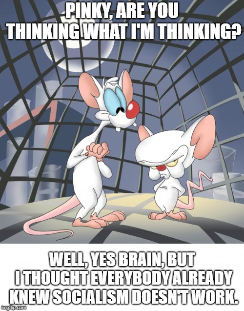 Pinky and the brain | PINKY, ARE YOU THINKING WHAT I'M THINKING? WELL, YES BRAIN, BUT I THOUGHT EVERYBODY ALREADY KNEW SOCIALISM DOESN'T WORK. | image tagged in pinky and the brain,politics,political meme,trump,mouse | made w/ Imgflip meme maker