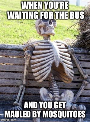 Waiting Skeleton | WHEN YOU’RE WAITING FOR THE BUS; AND YOU GET MAULED BY MOSQUITOES | image tagged in memes,waiting skeleton | made w/ Imgflip meme maker