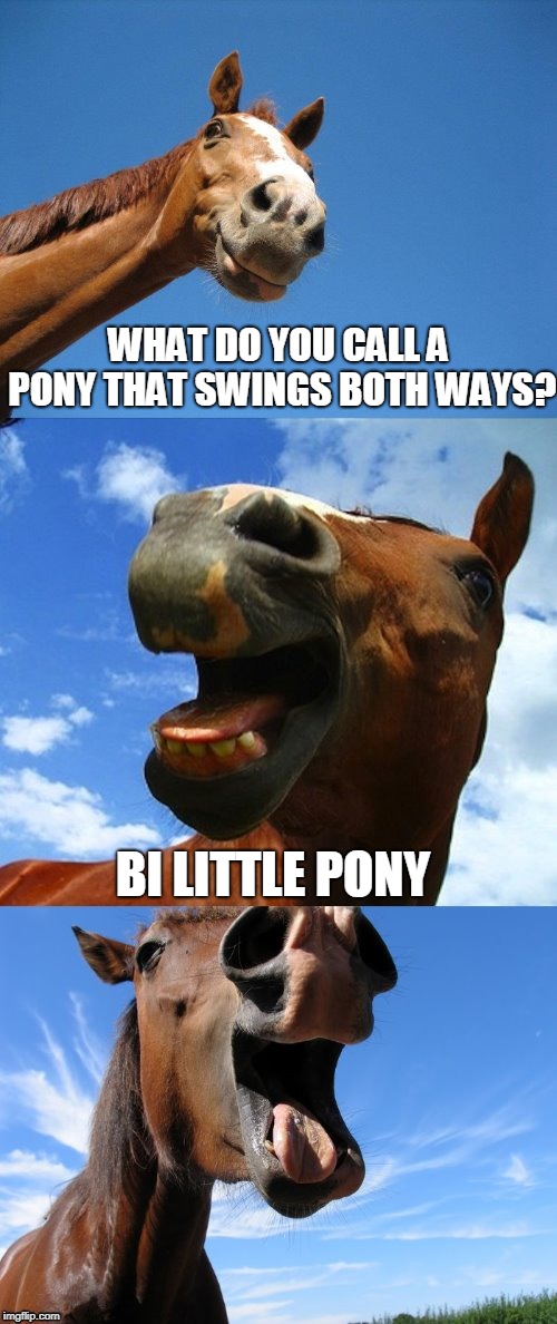Just Horsing Around | WHAT DO YOU CALL A PONY THAT SWINGS BOTH WAYS? BI LITTLE PONY | image tagged in just horsing around,memes,pony,my little pony,my little pony week,my little pony meme week | made w/ Imgflip meme maker
