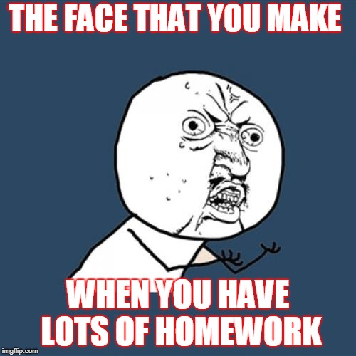 Y U No | THE FACE THAT YOU MAKE; WHEN YOU HAVE LOTS OF HOMEWORK | image tagged in memes,y u no | made w/ Imgflip meme maker