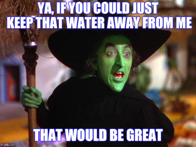 YA, IF YOU COULD JUST KEEP THAT WATER AWAY FROM ME; THAT WOULD BE GREAT | image tagged in wicked witch | made w/ Imgflip meme maker