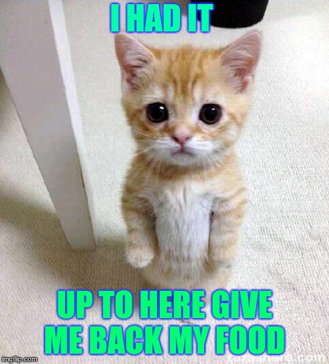 Cute Cat | I HAD IT; UP TO HERE GIVE ME BACK MY FOOD | image tagged in memes,cute cat | made w/ Imgflip meme maker