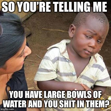 Third World Skeptical Kid Meme | SO YOU’RE TELLING ME; YOU HAVE LARGE BOWLS OF WATER AND YOU SHIT IN THEM? | image tagged in memes,third world skeptical kid | made w/ Imgflip meme maker