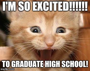 Excited Cat Meme | I'M SO EXCITED!!!!!! TO GRADUATE HIGH SCHOOL! | image tagged in memes,excited cat | made w/ Imgflip meme maker