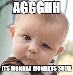 Skeptical Baby Meme | AGGGHH; ITS MONDAY MONDAYS SUCK | image tagged in memes,skeptical baby | made w/ Imgflip meme maker