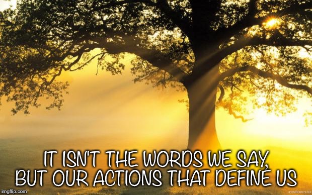 nature | IT ISN'T THE WORDS WE SAY, BUT OUR ACTIONS THAT DEFINE US | image tagged in nature | made w/ Imgflip meme maker