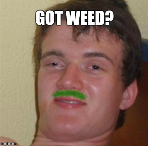 GOT WEED? | image tagged in 10 guy,weed | made w/ Imgflip meme maker