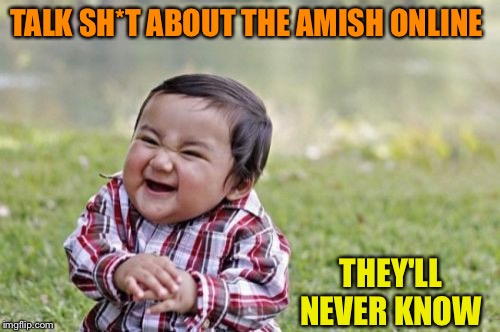 Evil Toddler Meme | TALK SH*T ABOUT THE AMISH ONLINE; THEY'LL NEVER KNOW | image tagged in memes,evil toddler | made w/ Imgflip meme maker