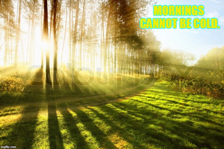 reality | MORNINGS CANNOT BE COLD. | image tagged in gym | made w/ Imgflip meme maker